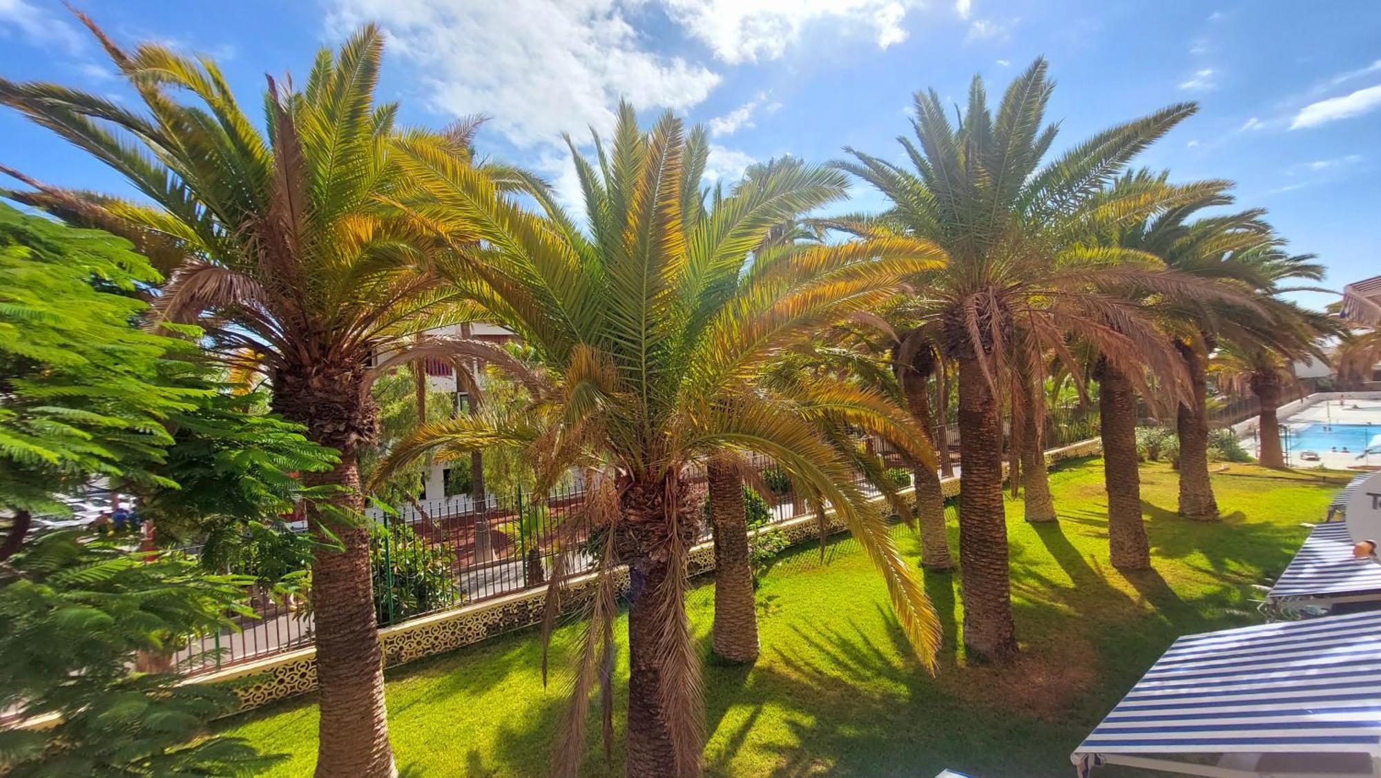 Apartamento Margarita Con Piscina En Playa Honda, Playa Las Americas Arona  Esterno foto